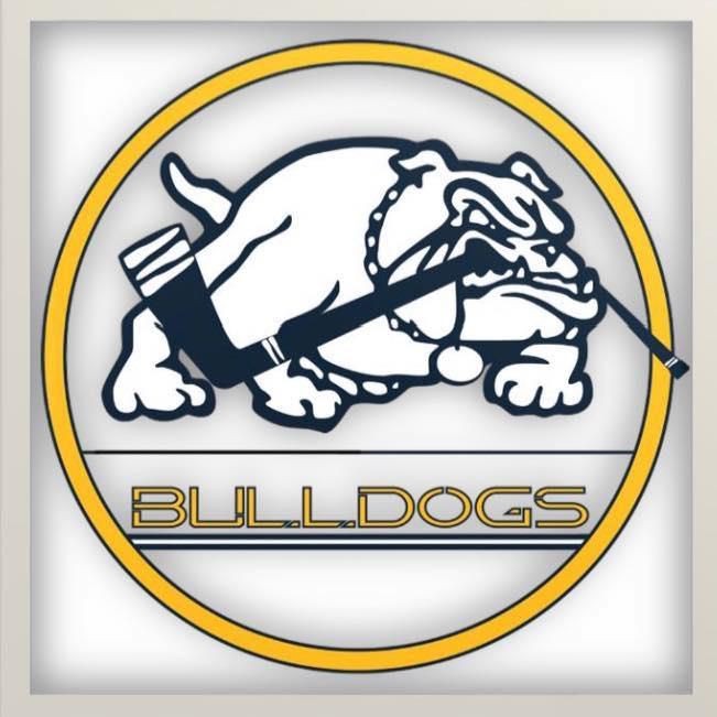 12U A1 Florida Bulldogs